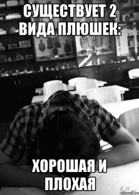 существует 2 вида плюшек: хорошая и плохая