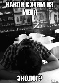 Какой к хуям из меня эколог?