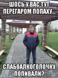 Шось у вас тут перегаром попаху... слабоалкоголочку попивали?