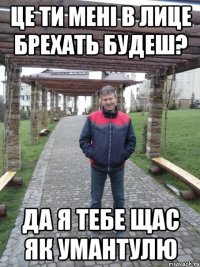це ти мені в лице брехать будеш? да я тебе щас як умантулю