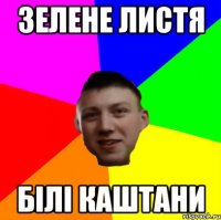 ЗЕЛЕНЕ ЛИСТЯ БІЛІ КАШТАНИ