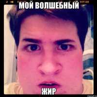 Мой волшебный Жир