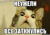 неужели все заткнулись