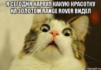 я сегодня караул какую красотку на золотом Range Rover видел 