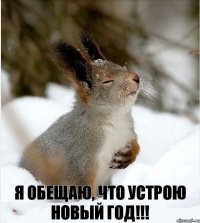 Я обещаю, что устрою НОВЫЙ ГОД!!!