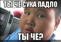 Ты че сука падло Ты че?