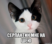  серпантин мне на шею