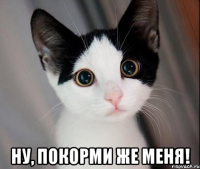  ну, покорми же меня!