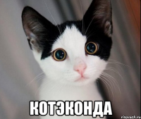  котэконда