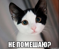  не помешаю?