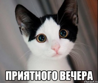  приятного вечера