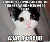 У всех котов нормально ховут,но только у Лапиной есть кот по имени Азат Яфясов