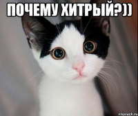 почему хитрый?)) 