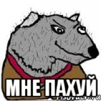  Мне пахуй