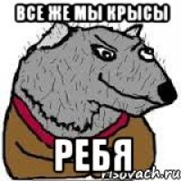Все же мы крысы ребя