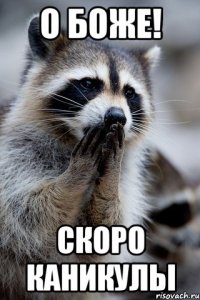 о боже! скоро каникулы