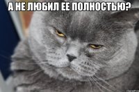 а не любил ее полностью? 