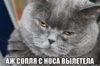  аж сопля с носа вылетела