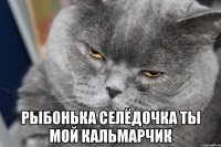  рыбонька селёдочка ты мой кальмарчик