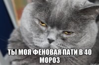  ты моя феновая пати в 40 мороз