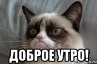  Доброе утро!
