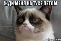 жди меня на тусе летом 