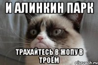 и алинкин парк трахайтесь в жопу в троём