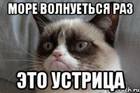 море волнуеться раз это устрица