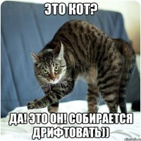 это кот? да! это он! собирается дрифтовать))