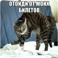 Отойди от моих билетов 