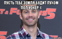 Пусть тебе Земля будит пухом Пол Уокер :( 