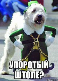  упоротый штоле?