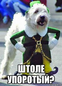 штоле упоротый?