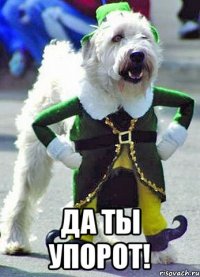  да ты упорот!