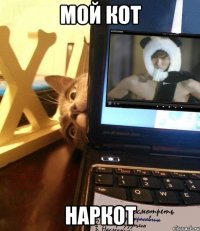 мой кот наркот
