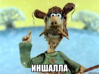  иншалла