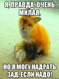 Я, правда, очень милая, но я могу надрать зад, если надо!