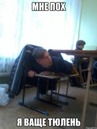 Мне пох я ваще тюлень