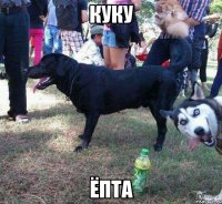куку ёпта