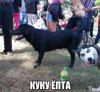 куку ёпта