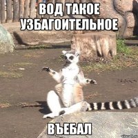 ВОД ТАКОЕ УЗБАГОИТЕЛЬНОЕ ВЪЕБАЛ