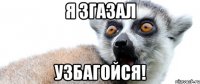 я згазал узбагойся!