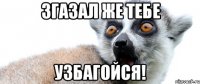 згазал же тебе узбагойся!