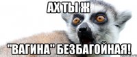 ах ты ж "вагина" безбагойная!