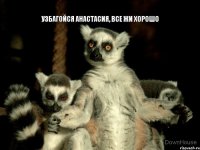 Узбагойся Анастасия, все жи хорошо