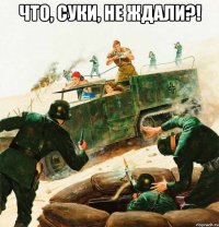что, суки, не ждали?! 