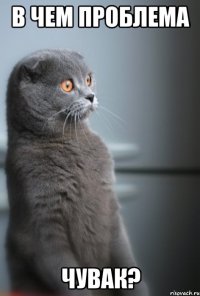 В чем проблема чувак?