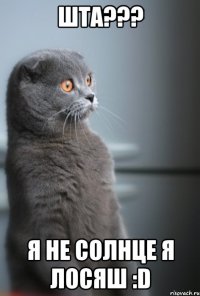 Шта??? Я не солнце я Лосяш :D