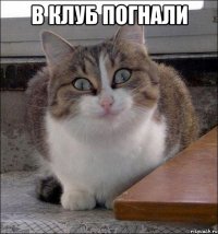 в клуб погнали 