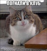 погнали в клуб 